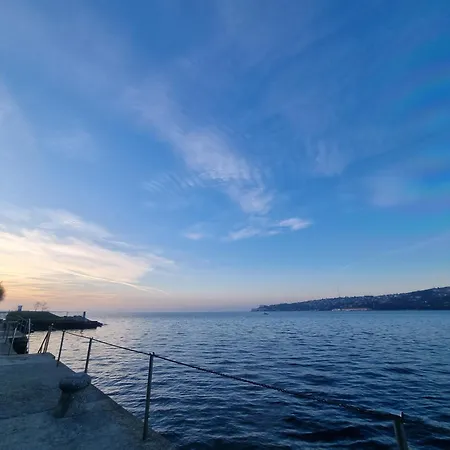 Stella Blue Floating House *